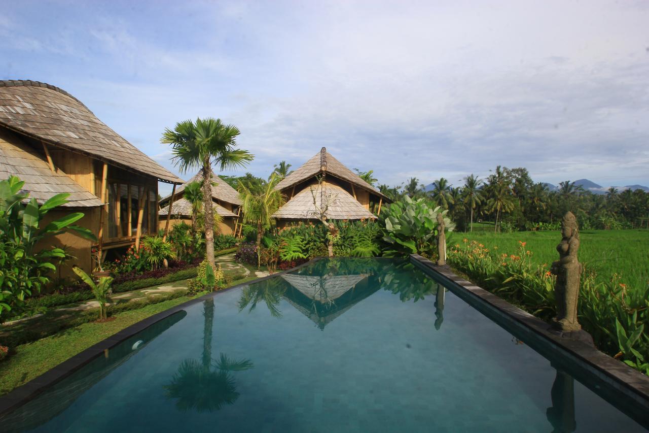بيانغان Padi Bali Eco Villas المظهر الخارجي الصورة